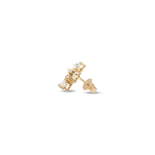 TWINKLING FANCY EARRINGS