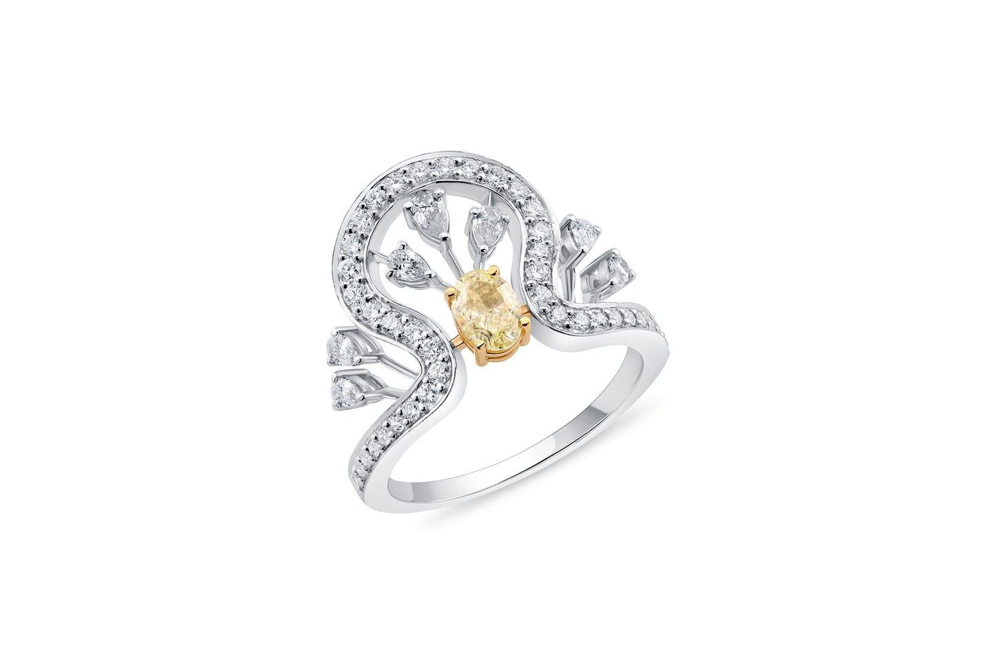 SYLVIENNE FANCY RING